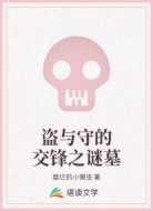 盗与守的交锋之谜墓