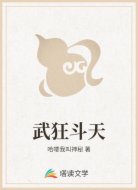 武狂斗天