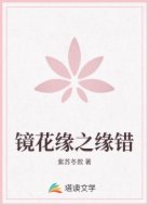 镜花缘之缘错