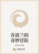 乔波兰的奇妙冒险