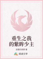 重生之我的紫眸少主