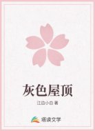 灰色屋顶