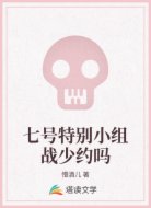 七号特别小组战少约吗