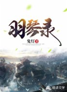 羽琴录