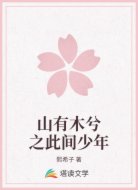 山有木兮之此间少年