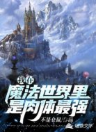 我在魔法世界里是肉體最強