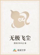 无极飞尘
