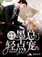 替嫁娇妻：墨总轻点宠