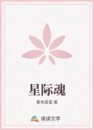 星际魂