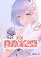 网游之蓝绿修改器