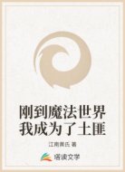 刚到魔法世界我成为了土匪