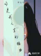 你是我人生的插曲