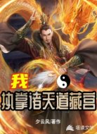 我，执掌诸天道藏宫