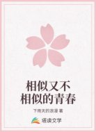 相似又不相似的青春