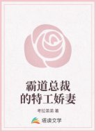 霸道总裁的特工娇妻