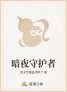 暗夜守护者