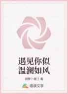 遇见你似温澜如风