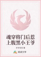 魂穿将门后惹上腹黑小王爷