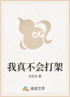 我真不会打架