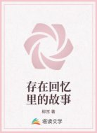 存在回忆里的故事