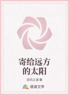 寄给远方的太阳