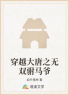 穿越大唐之无双驸马爷
