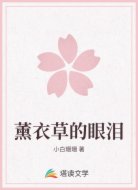 薰衣草的眼泪