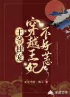 王爷独宠,穿越王妃不好惹