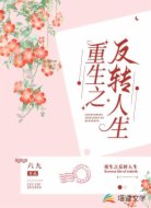 重生之反转人生