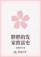 胖胖的发家致富史