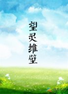 望灵维壁