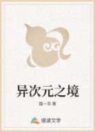 异次元之境