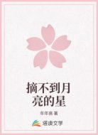 摘不到月亮的星