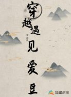 穿越遇见爱豆