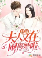 总裁，夫人又在闹离婚啦
