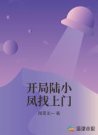 开局陆小凤找上门