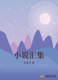 小说汇集