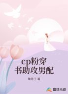 cp粉穿书助攻男配