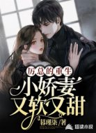 厉总的重生小娇妻又软又甜
