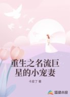 重生之名流巨星的小宠妻