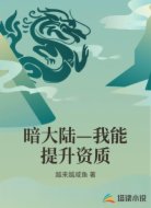 暗大陆—我能提升资质
