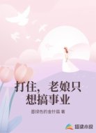 打住，老娘只想搞事业