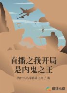 直播之我开局是内鬼之王
