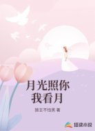 月光照你我看月