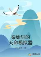 秦始皇的天命模拟器