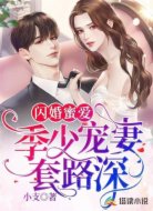闪婚蜜爱:季少宠妻套路深