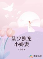 陆少独宠小娇妻