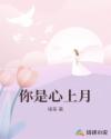 你是心上月
