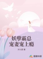 妖孽霸总宠妻宠上瘾
