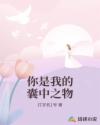 你是我的囊中之物